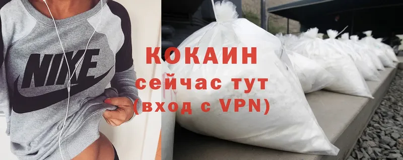 где можно купить   Микунь  Cocaine VHQ 